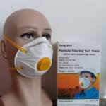 DUST MASK N95 (20 PCS/BOX)